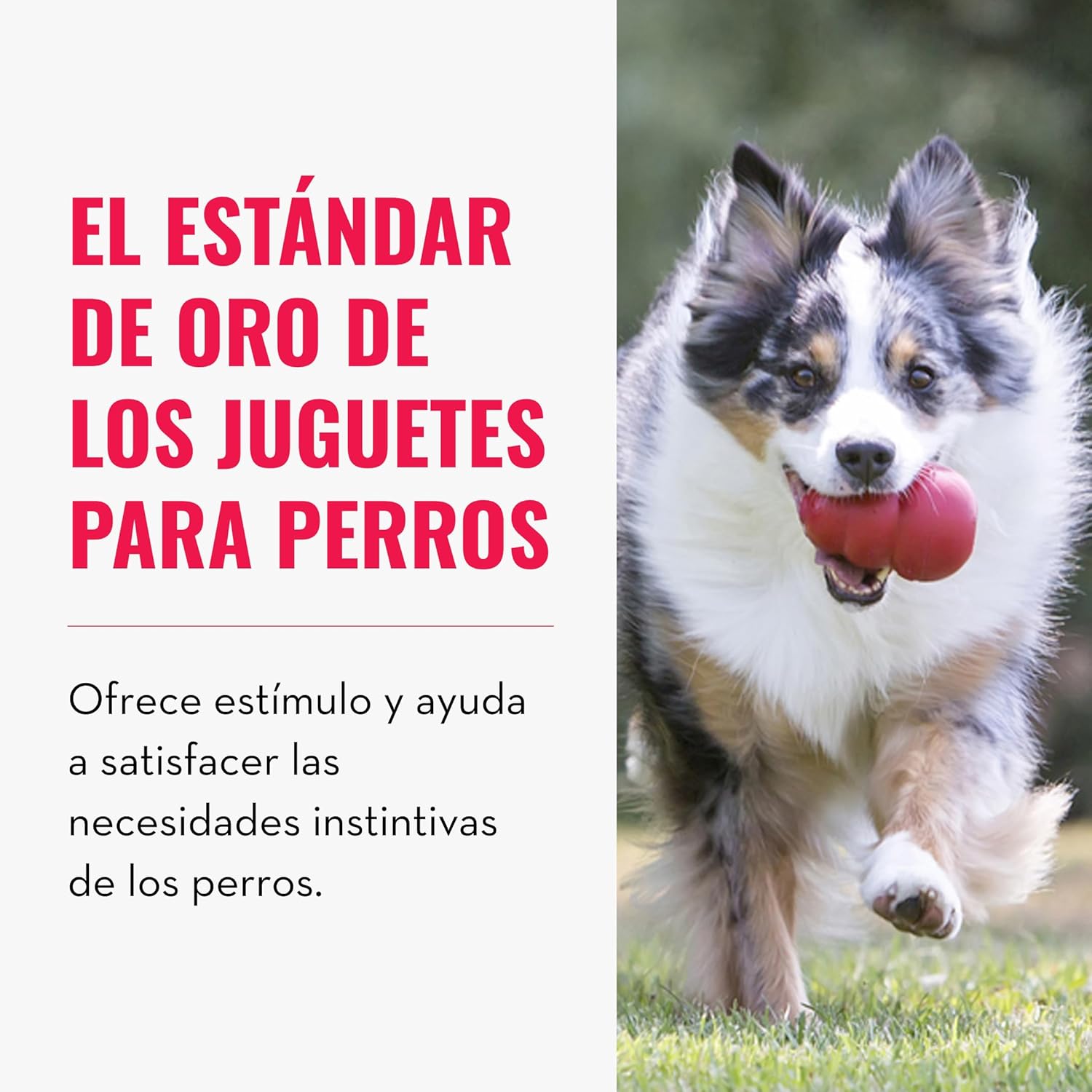 Juguete rellenable para perros – Estimulación mental y horas de diversión