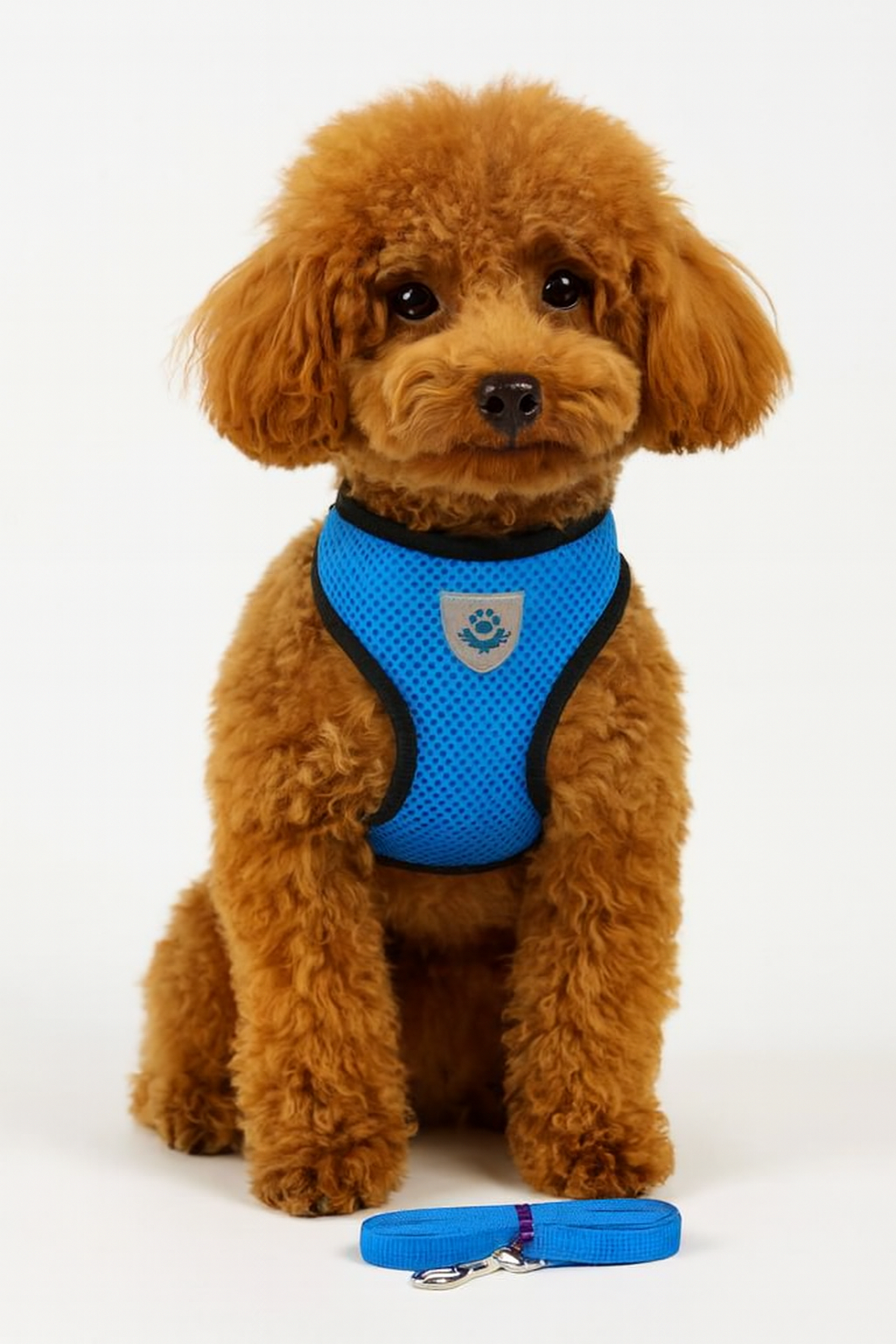 Arnés antiescape y cómodo para gatos – Paseos seguros y sin estrés